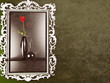 a red rose in the dark vase