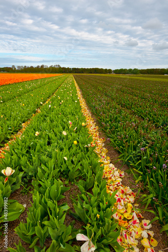 Photo: Harvesting Harvesting