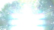 Young man meditating or praying in woods 