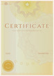 Certificate / Diploma of completion. Guilloche pattern