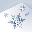 Background with paper snowflakes