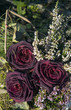 Vergänglichkeit, welkende Rosen in einem Grabgesteck
