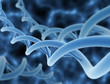 Photo: Digital illustration of a DNA Digital illustration of a DNA