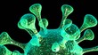 microbe