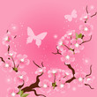Card with stylized cherry blossom flowers.