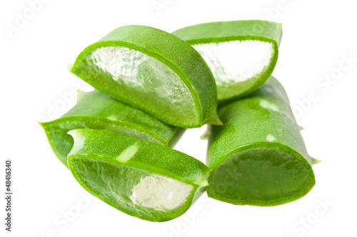 Photo: aloe vera aloe vera