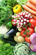Foto: Variety of vegetables Variety of vegetables