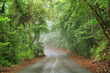 Travelling the Daintree National Park