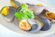mussels