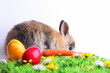 Osterhase