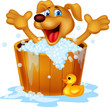 Dog bathing time