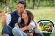 couple enjoying picnic