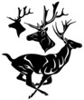 running deer and deer head outline