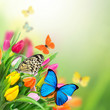 Photo: Beautiful floral background Beautiful floral background