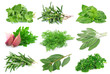 Set from green spice
