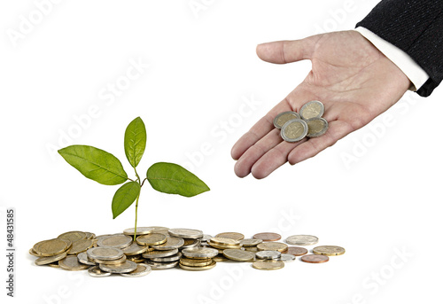 Photo: Sapling in hand Sapling in hand