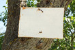 Rustic Rural Sign, Blanked for your Message