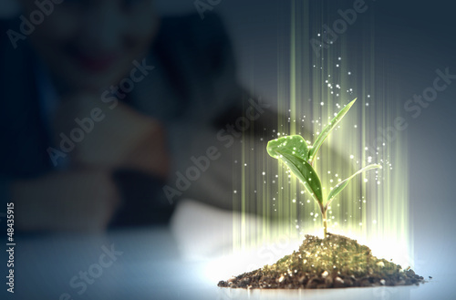 Photo: Young plant life process Young plant life process