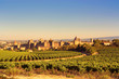 The walled city of Carcassonne, France