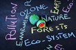 Pollution and Future of Planet