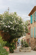 Grimaud