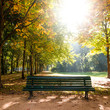 parkbank spätsommer