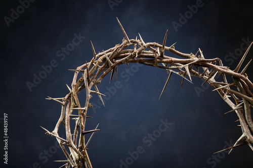 Photo: Crown of Thorns Crown of Thorns