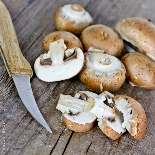 Photo: champignons champignons