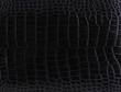 Texture of a crocodile leather