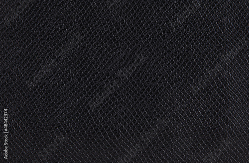 Photo: texture of a snakeskin texture of a snakeskin