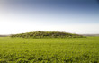 Neolithic burial mound, Cranborne Chase, England