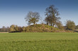 Tree covered neolithic burial mound