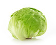 Green Iceberg Alcapucci on White Background