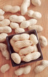 peanuts