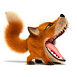 Little fox