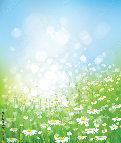 Vector: Vector of spring background Vector of spring background