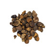 Guarana