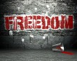 Graffiti wall with freedom, street background