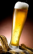 boccale di birra bionda