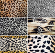 Leopard textures