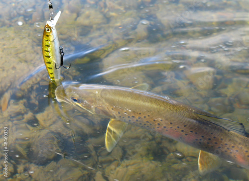 Photo: Fishing Fishing