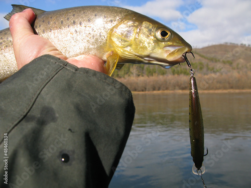 Photo: Fishing Fishing