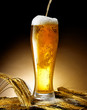 birra bionda