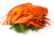 Group of red lobsters with garnish isolated