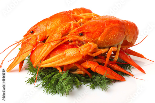 Photo: Group of red lobsters with garnish isolated Group of red lobsters with garnish isolated