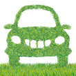 auto d'erba