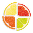 lemon, lime, grapefruit and orange on white background