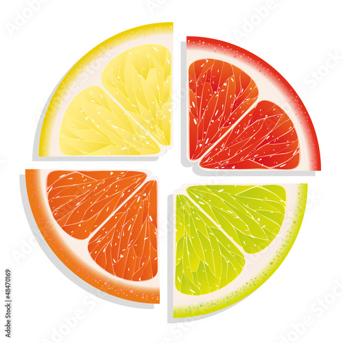Vector: lemon, lime, grapefruit and orange on white background lemon, lime, grapefruit and orange on white background