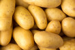 Kartoffelernte