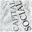 Social capital Disciplines Concept